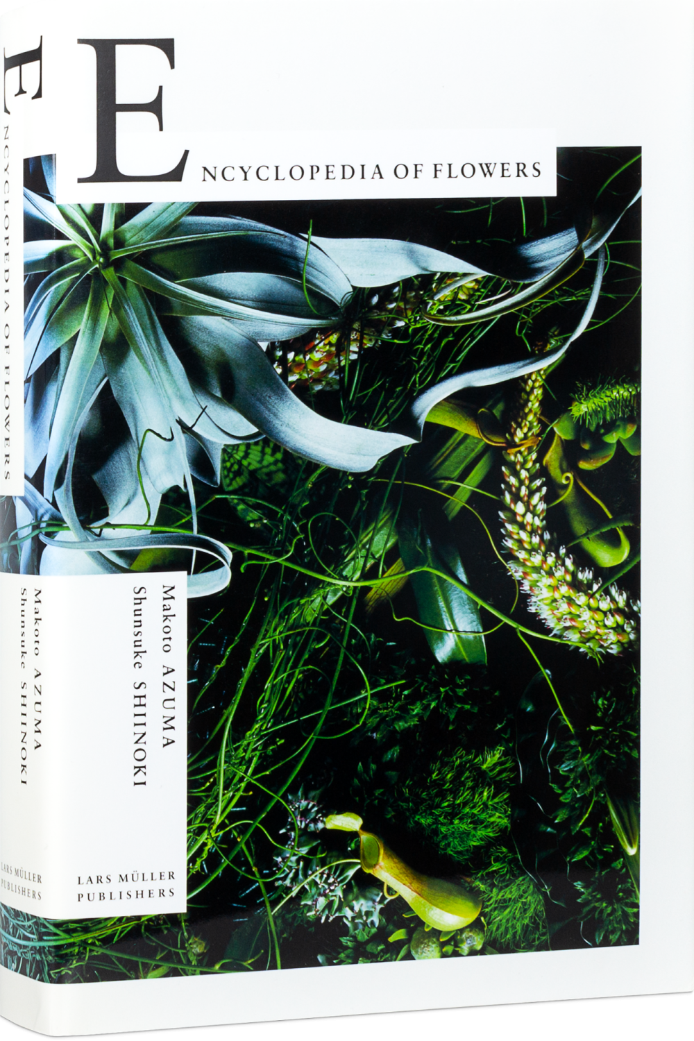 Encyclopedia of Flowers Cover