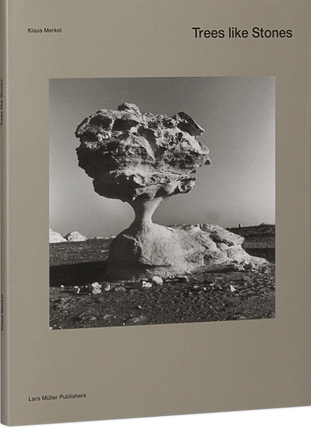 Trees like Stones Cover