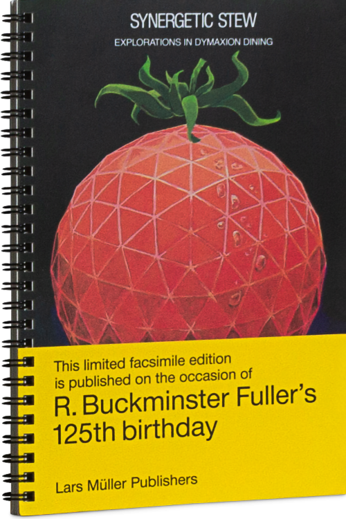 Synergetic Stew Cover